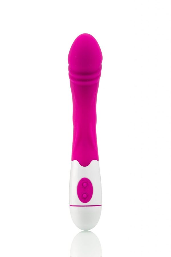 Vibrator Erregter