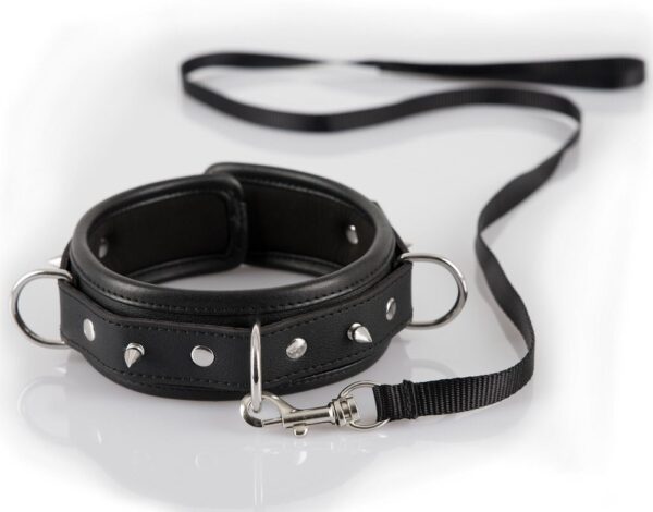 Halsband mit Spikes und Leine