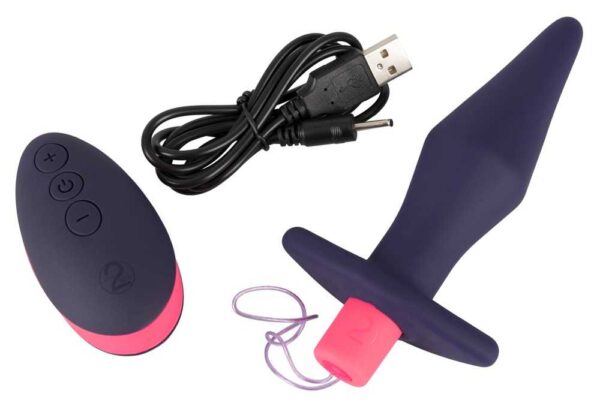 Vibro-Analplug mit Fernbedienung und 10 Vibrationsmodi You2Toys Lila