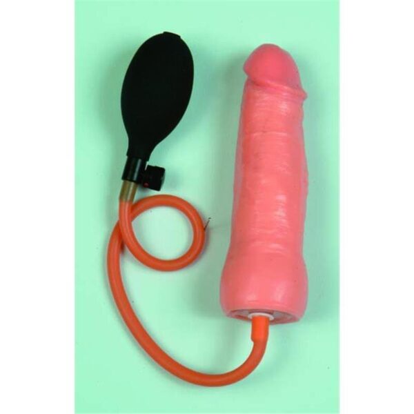 RÉEL Penis 18cm mit Pumpe