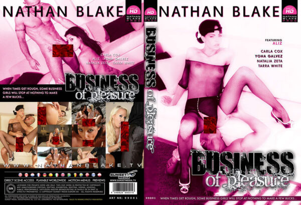 Business Of Pleasure